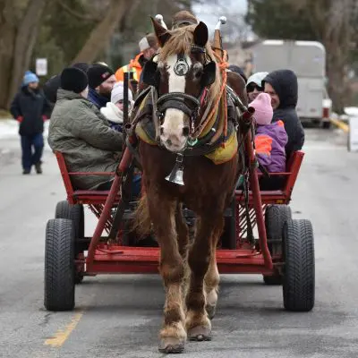 Hampstead-Winter-Festival-2024-02-11_36-400x400